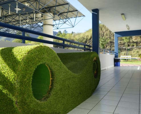 Prepa San Patricio